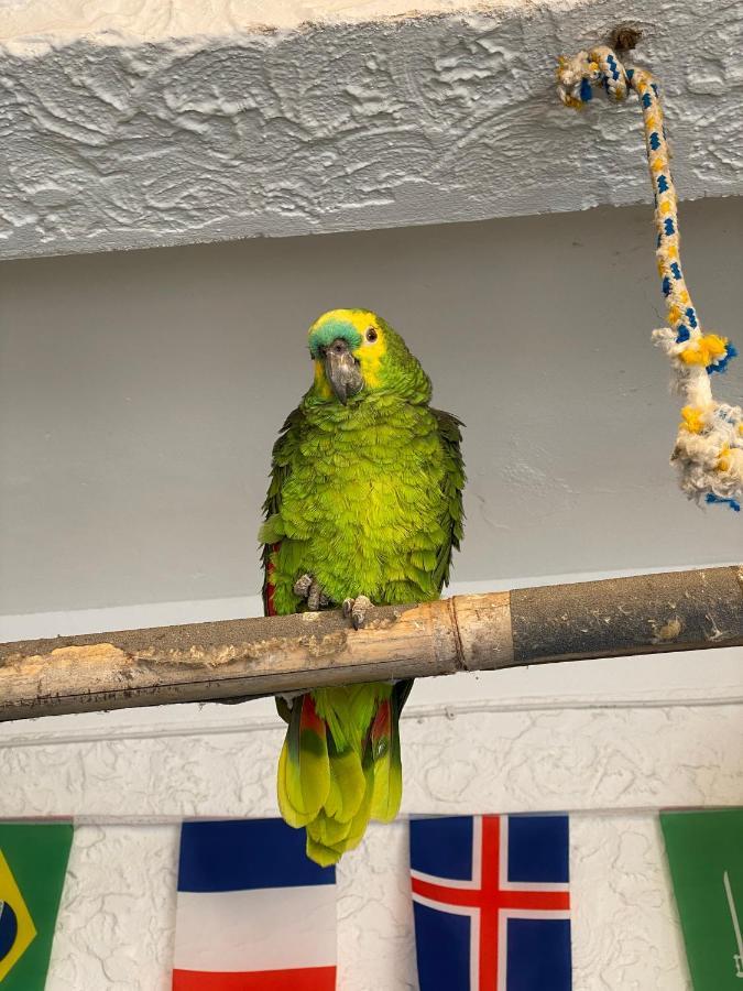 Hostel Maresias Do Leme Rio de Janeiro Dış mekan fotoğraf
