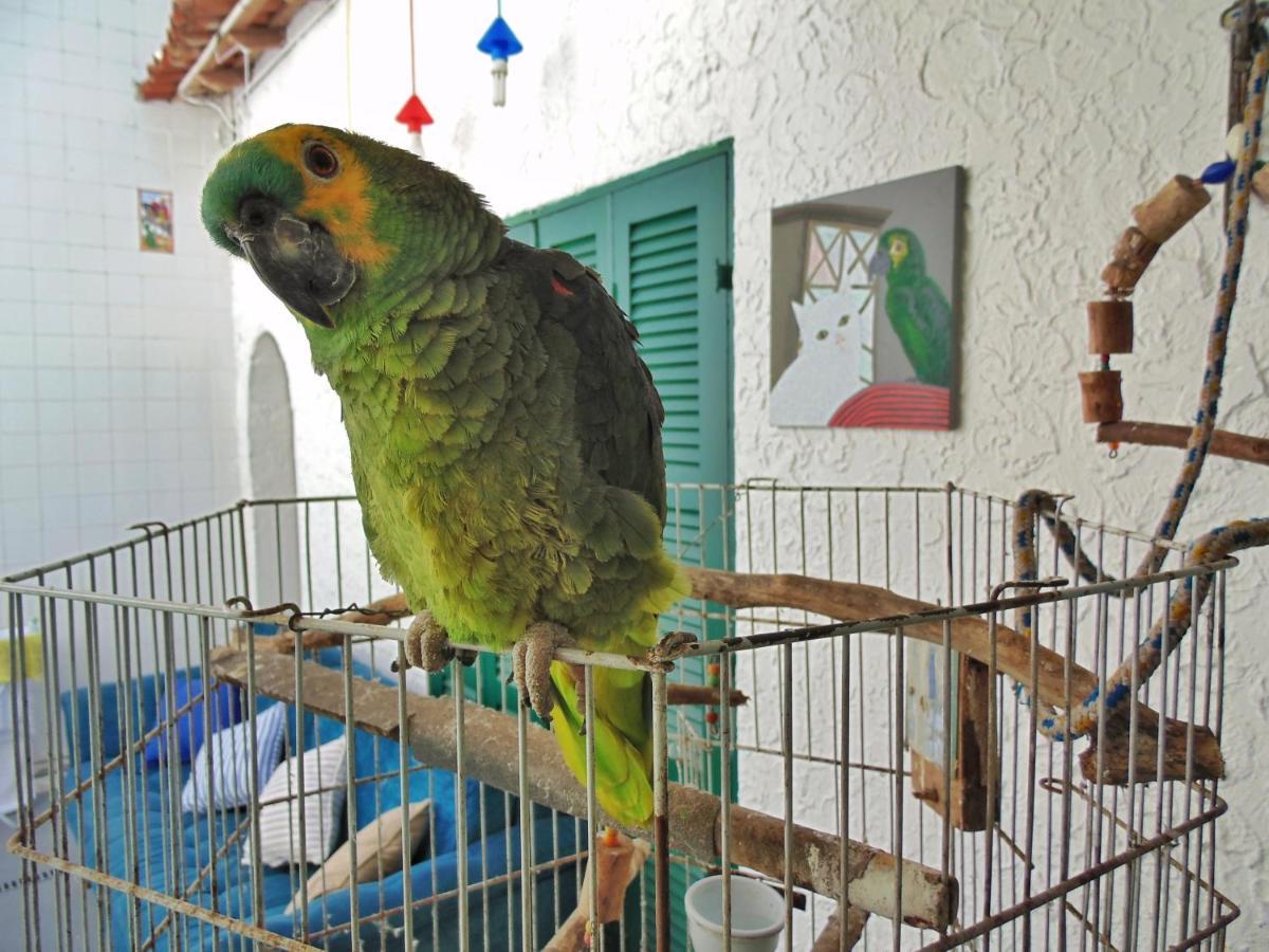 Hostel Maresias Do Leme Rio de Janeiro Dış mekan fotoğraf